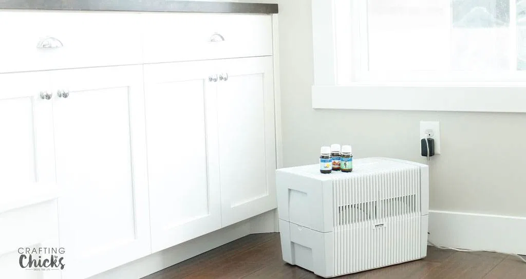 5 Things You Didn't Know Your Humidifier Could Do For You - The ...