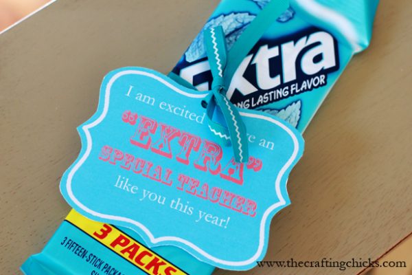 "Extra" Special Teacher Gift Idea - The Crafting Chicks